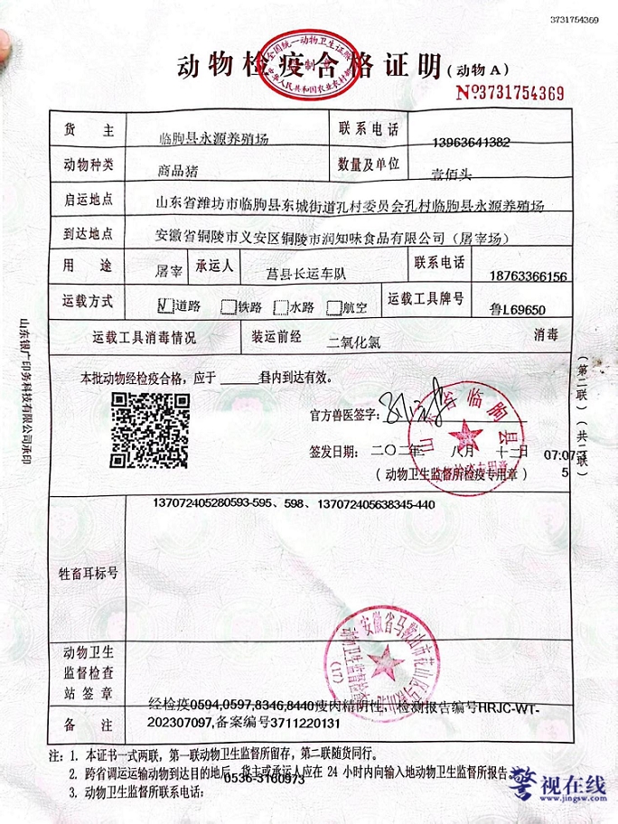 图片3.png