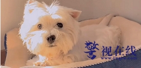 微信图片_20251219104006_1348_1.png 微信图片_20251219104006_1348_1.png